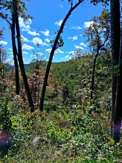 Tiny photo for 0 Mount Horeb Road, Amherst, VA 24521 (MLS # 362793)