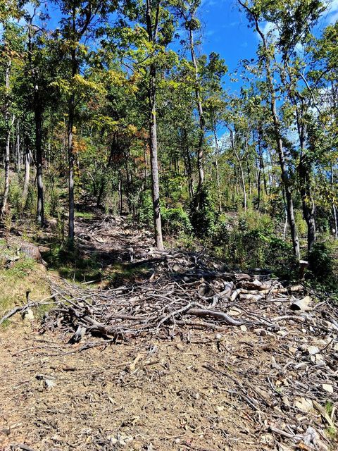 Tiny photo for 0 Mount Horeb Road, Amherst, VA 24521 (MLS # 362793)