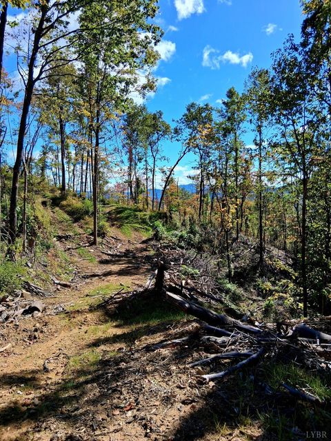 Tiny photo for 0 Mount Horeb Road, Amherst, VA 24521 (MLS # 362793)