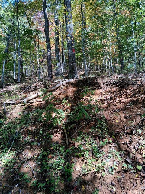 Tiny photo for 0 Mount Horeb Road, Amherst, VA 24521 (MLS # 362793)