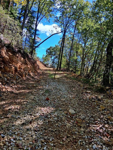 Tiny photo for 0 Mount Horeb Road, Amherst, VA 24521 (MLS # 362793)