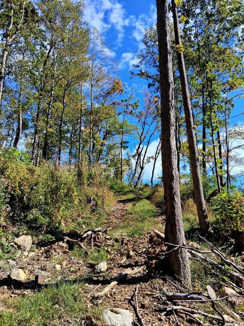 Tiny photo for 0 Mount Horeb Road, Amherst, VA 24521 (MLS # 362793)