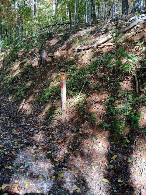 Tiny photo for 0 Mount Horeb Road, Amherst, VA 24521 (MLS # 362793)