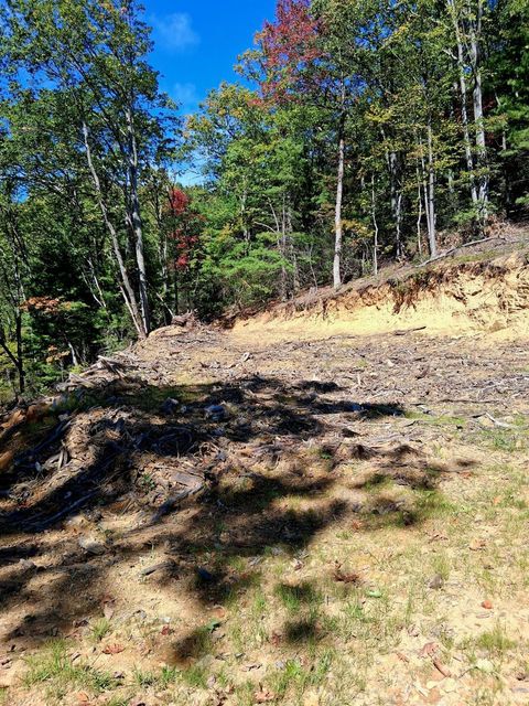 Tiny photo for 0 Mount Horeb Road, Amherst, VA 24521 (MLS # 362793)