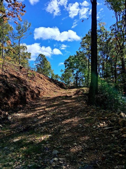 Tiny photo for 0 Mount Horeb Road, Amherst, VA 24521 (MLS # 362793)