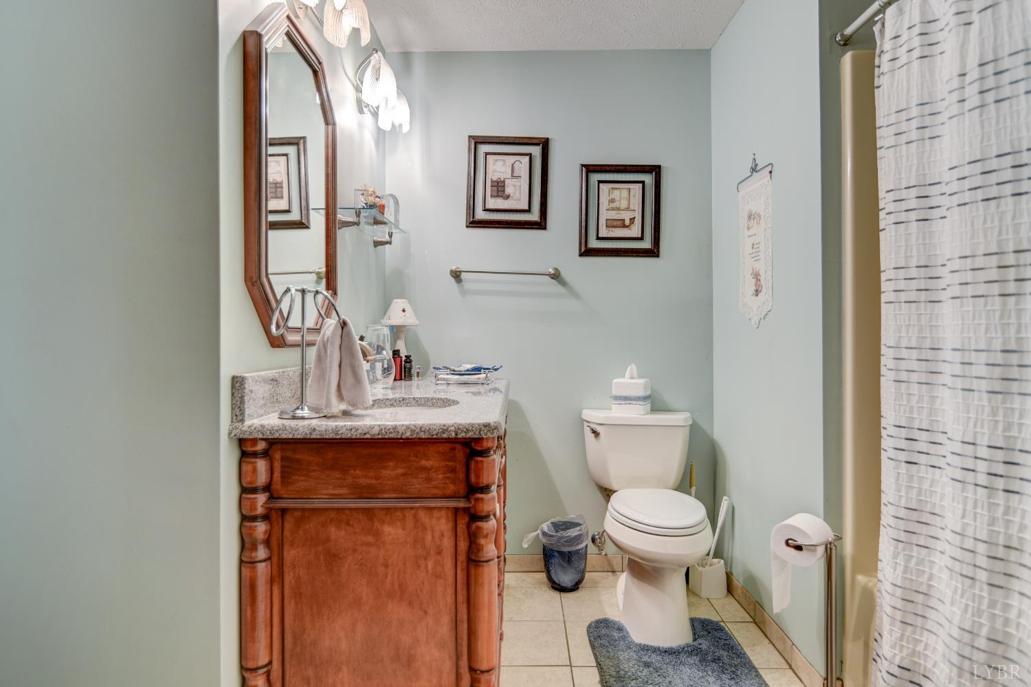 114 Sailview Drive, Forest, Virginia image 11