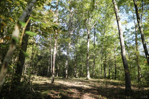 Photo of 0 Hollywood Road, Appomattox, VA 24522 (MLS # 370001)