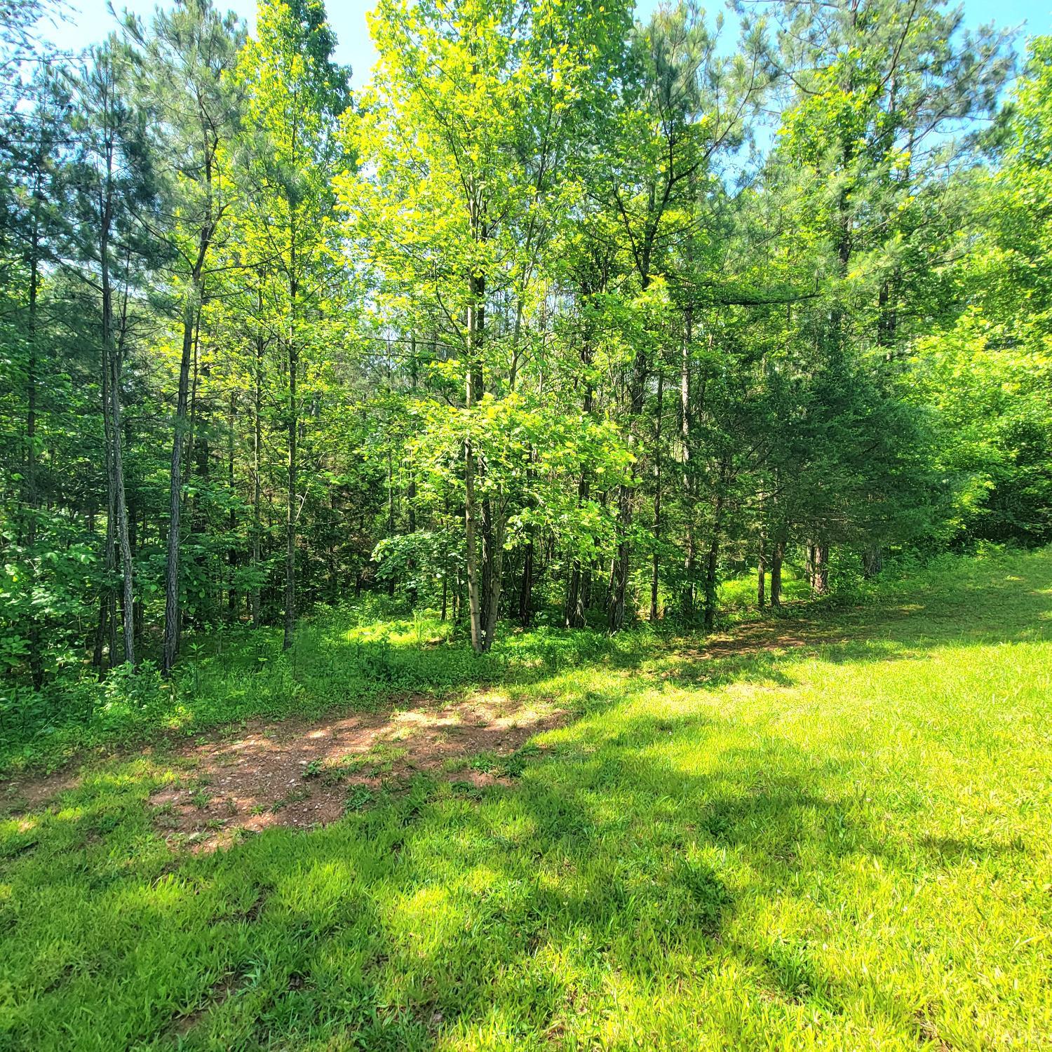 245 Hickory Drive, Lynchburg, Virginia image 9