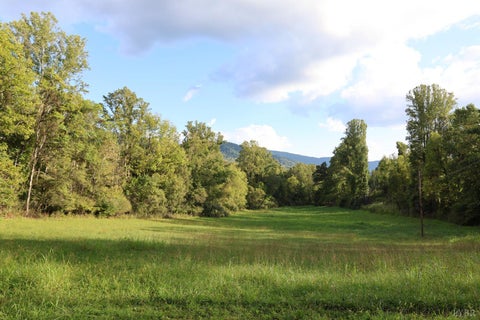 Photo of 0 Puppy Creek Road, Amherst, VA 24521 (MLS # 369265)