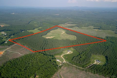 Vacant Land For Sale - 1100 Grandmas Hill Road<br/> Amherst, VA 24521
