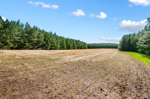 Tiny photo for 1190 Beales Lane, Nathalie, VA 24577 (MLS # 366798)