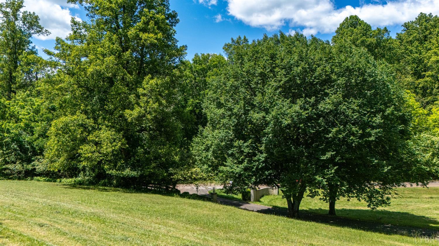 1381 Tamer Lane, Lynchburg, Virginia image 36