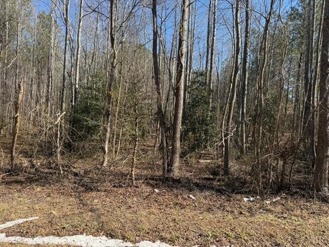 Tiny photo for 0 Sturgeon Road, Dolphin, VA 23843 (MLS # 365768)