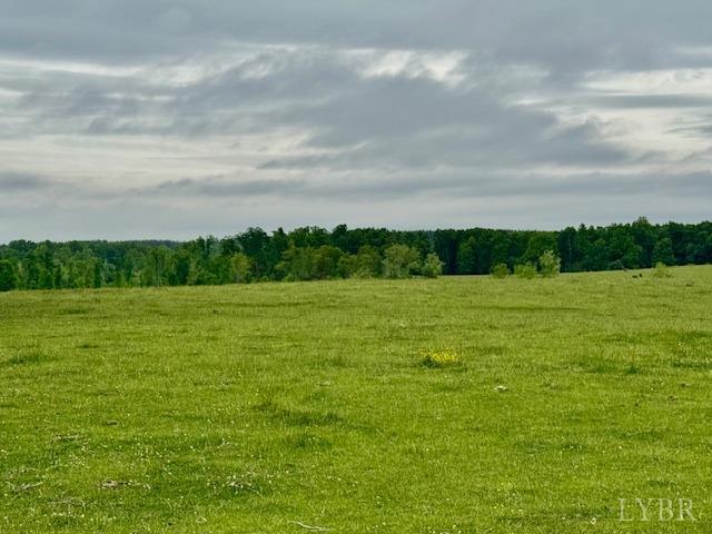 River Ridge Road, Appomattox, Virginia image 3