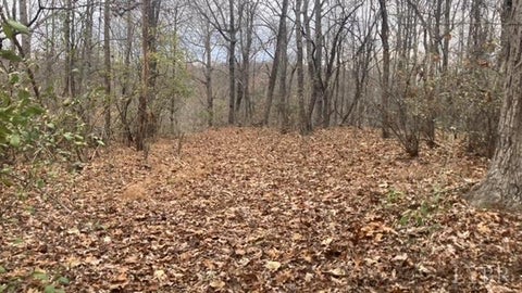 Vacant Land For Sale - 1147 Stratford Road<br/> Lynchburg, VA 24502