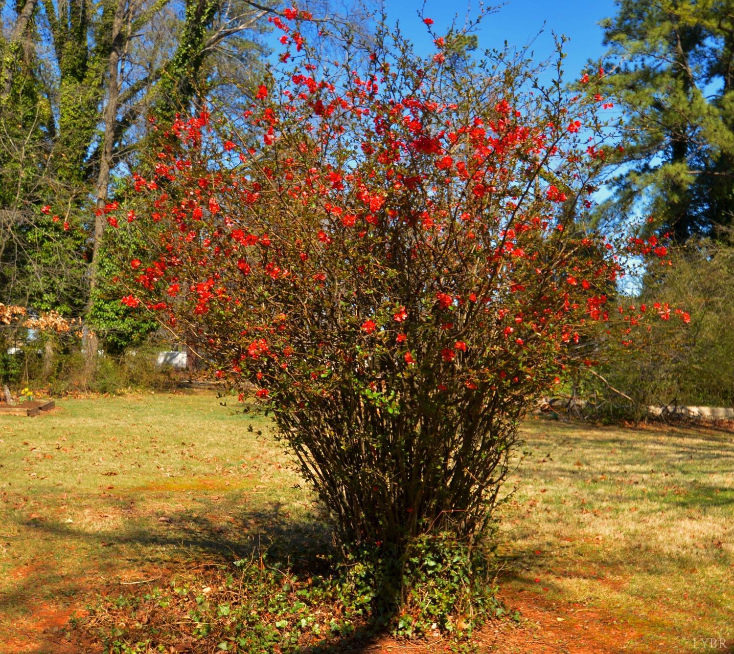 1500 Brookville Lane, Lynchburg, Virginia image 33