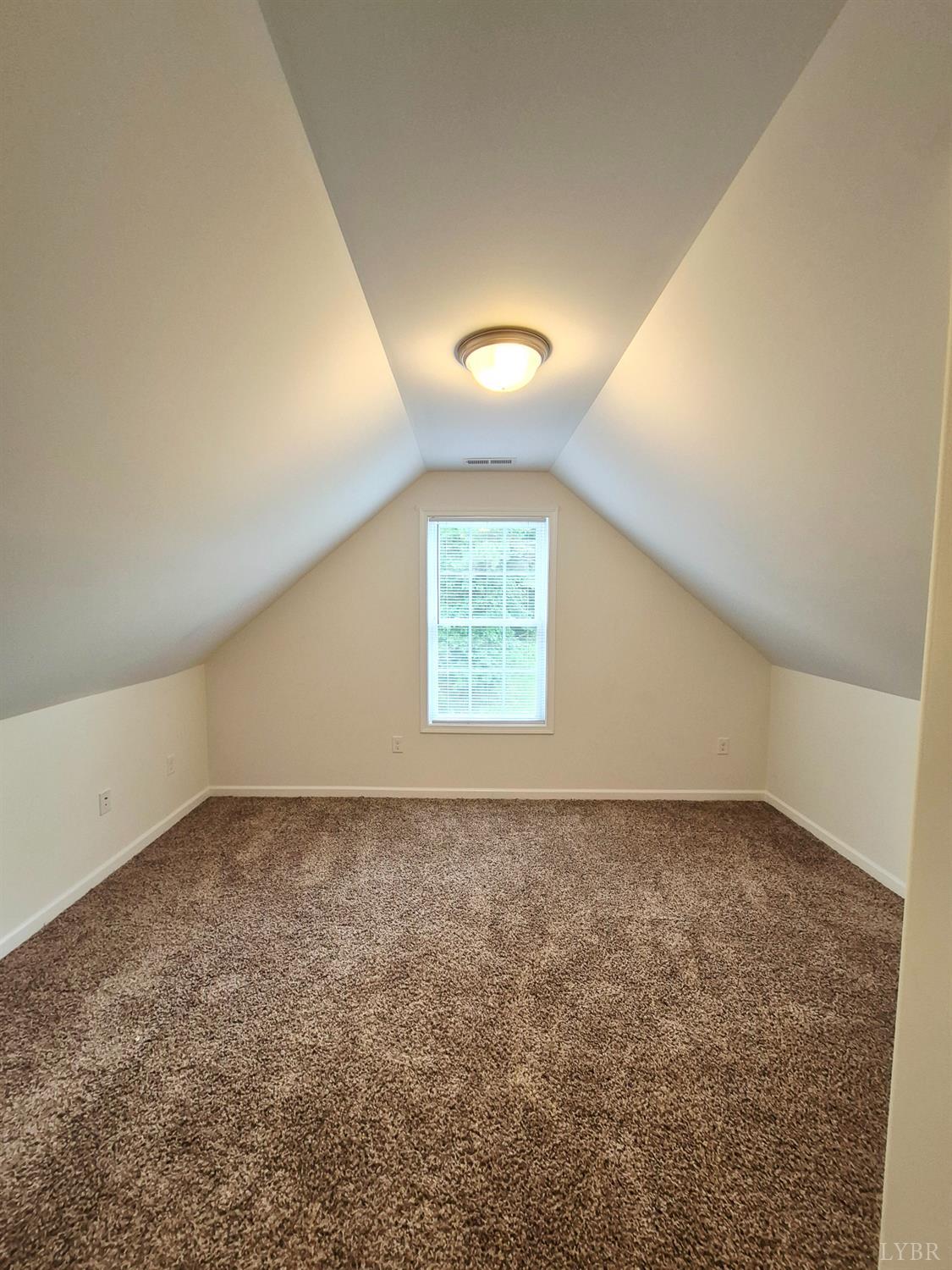 188 Oak Spring Lane, Madison Heights, Virginia image 14