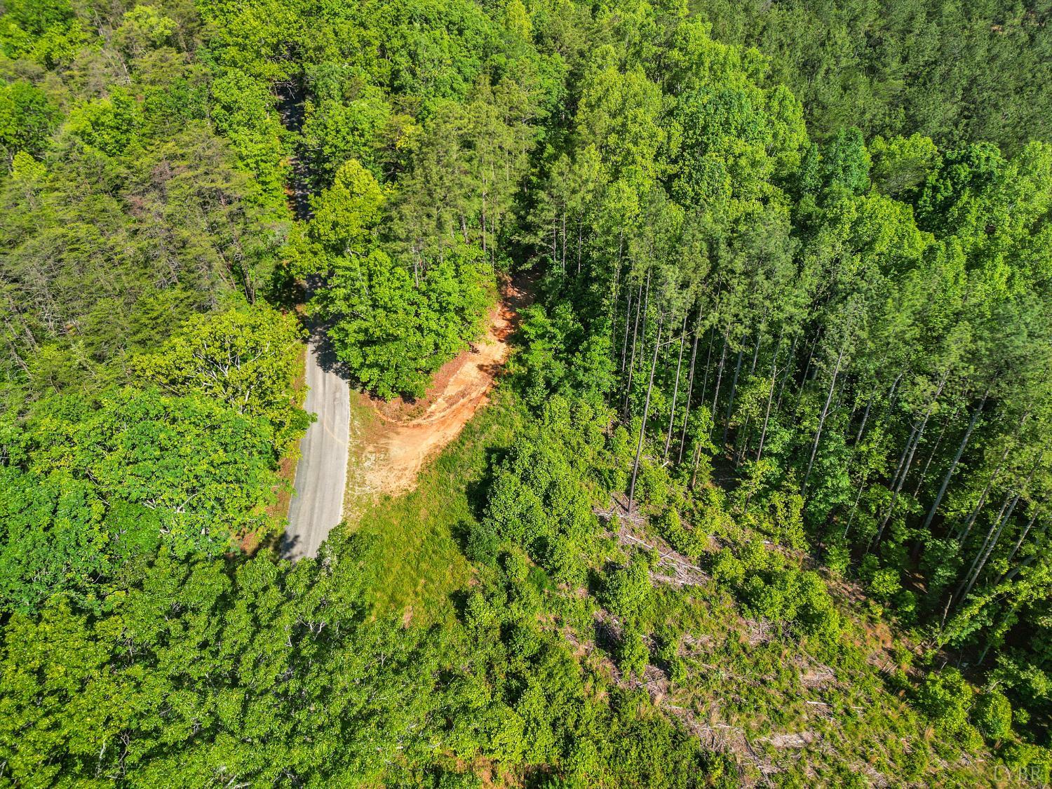 4042 Norwood Road, Gladstone, Virginia image 35
