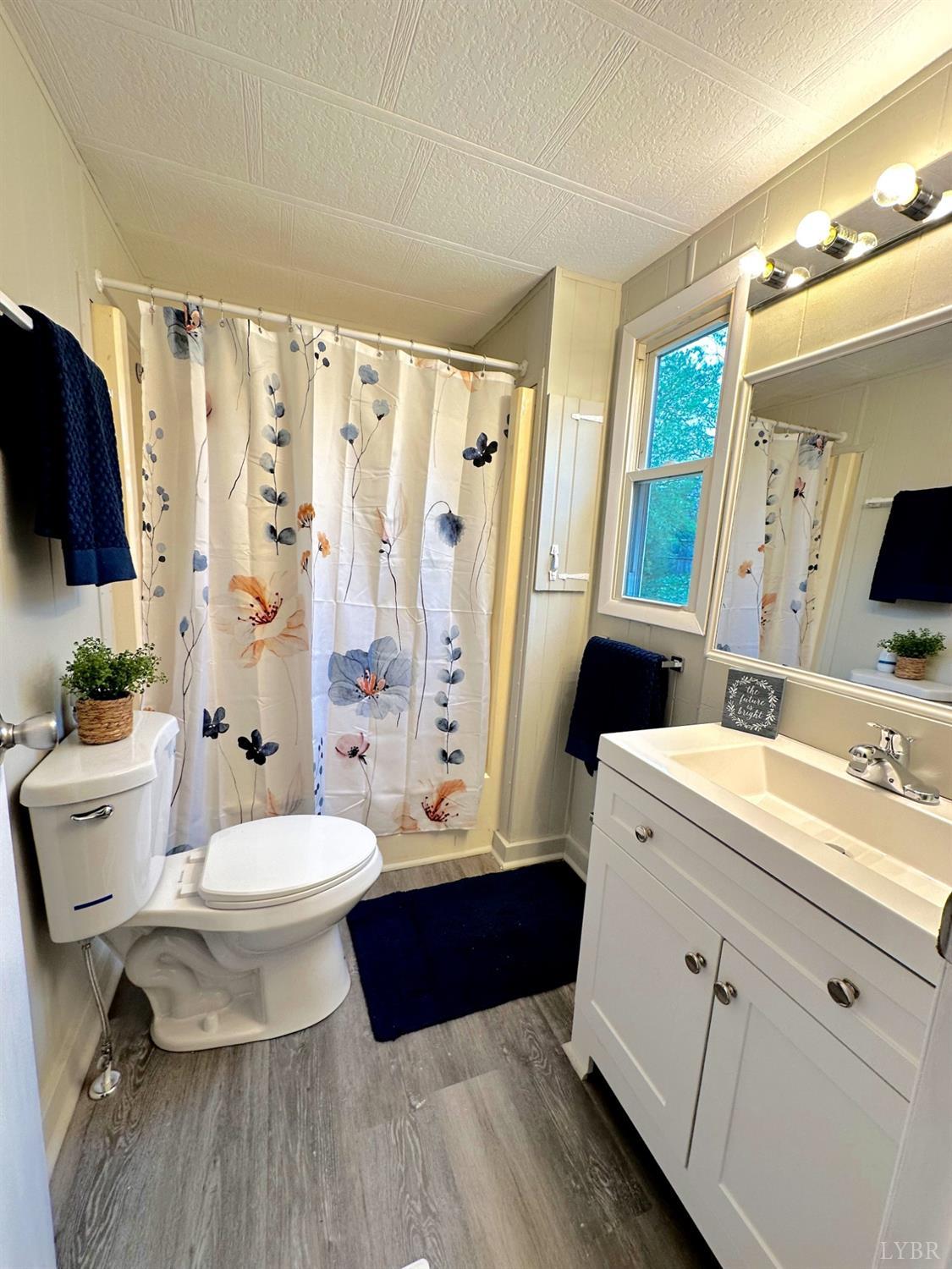 157 Phelps Road, Madison Heights, Virginia image 17