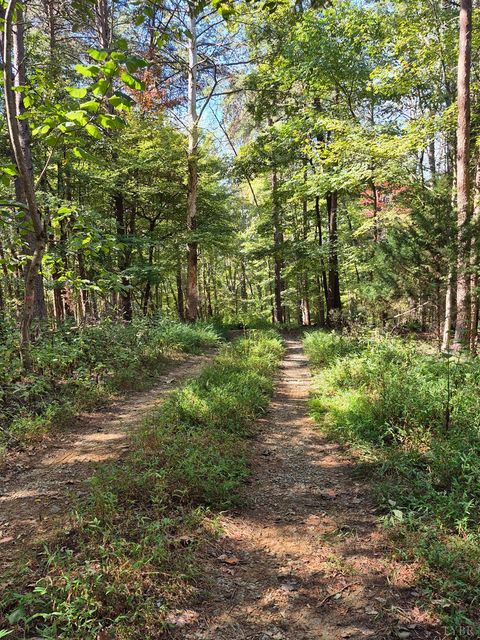 Tiny photo for 0 Isle of Pines Drive, Moneta, VA 24121 (MLS # 362019)