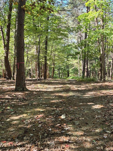 Tiny photo for 0 Isle of Pines Drive, Moneta, VA 24121 (MLS # 362019)