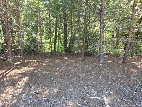 Tiny photo for 0 Lot 146 Noah's Knoll, Pittsville, VA 24139 (MLS # 366665)