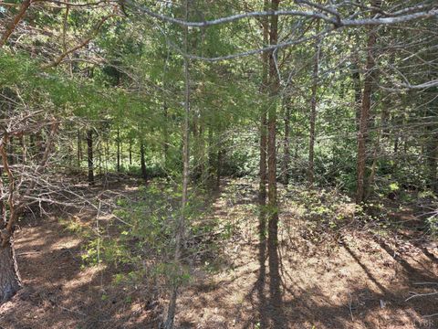 Tiny photo for 0 Lot 146 Noah's Knoll, Pittsville, VA 24139 (MLS # 366665)