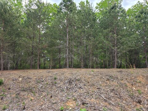 Tiny photo for 0 Lot 146 Noah's Knoll, Pittsville, VA 24139 (MLS # 366665)