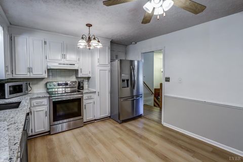 Tiny photo for 300 Pocahontas Dr, Forest, VA 24551 (MLS # 362453)