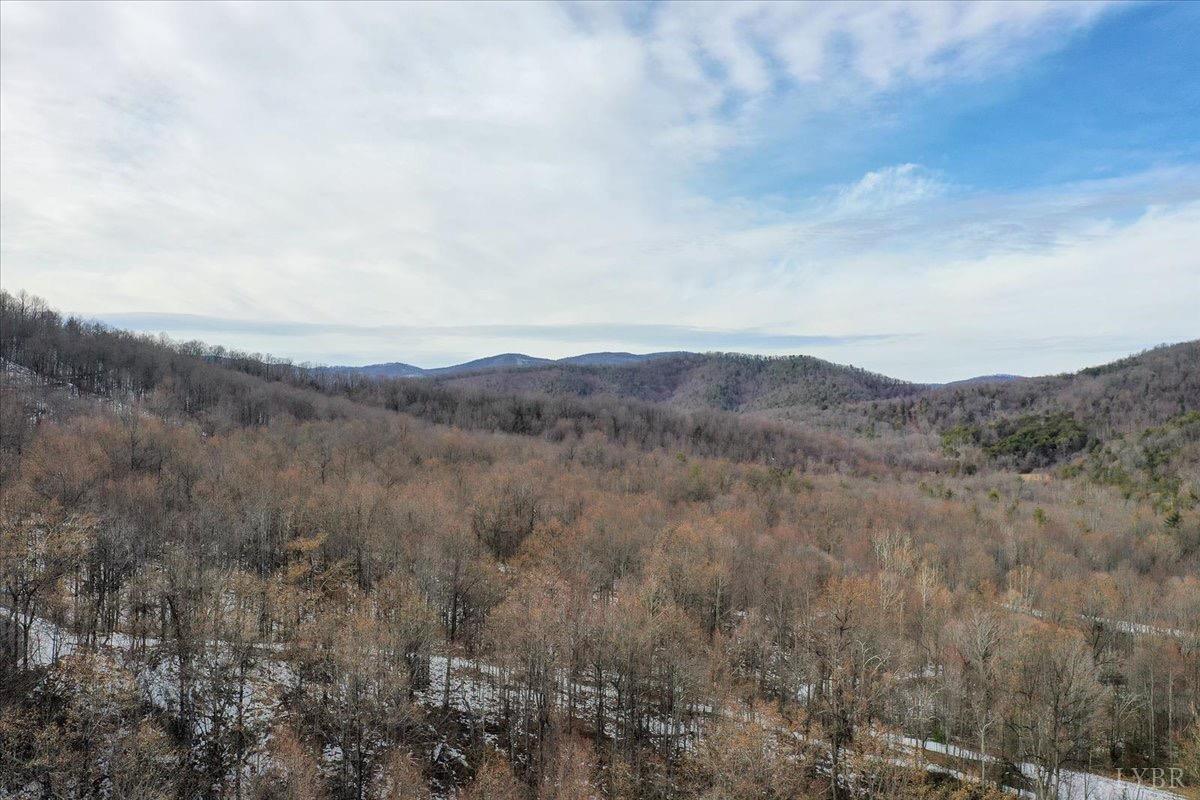 Mountain Top Dr, Amherst, Virginia image 14