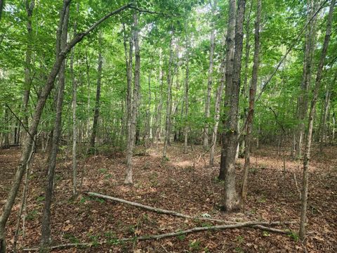 Photo of 0 Red House, Appomattox, VA 24522 (MLS # 361624)