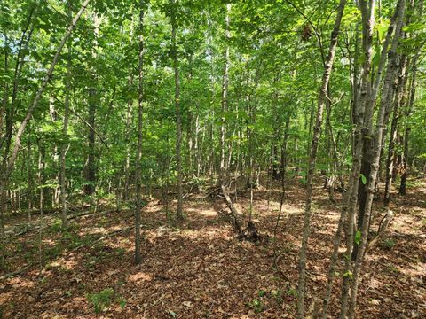 Tiny photo for 0 Red House, Appomattox, VA 24522 (MLS # 361624)