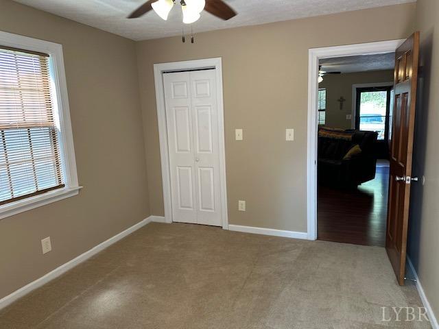 301 Gooseneck Court, Forest, Virginia image 15