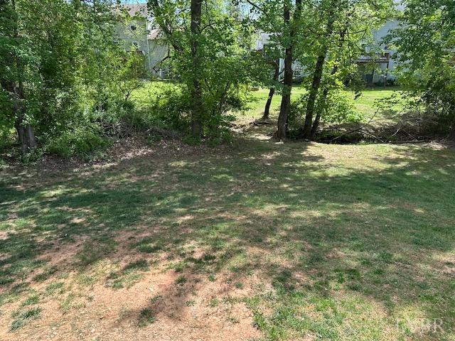 301 Gooseneck Court, Forest, Virginia image 18