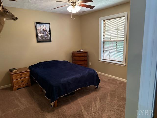 301 Gooseneck Court, Forest, Virginia image 12
