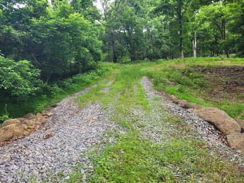 Vacant Land For Sale - Murray Hollow Rd<br/> Thaxton, VA 24174