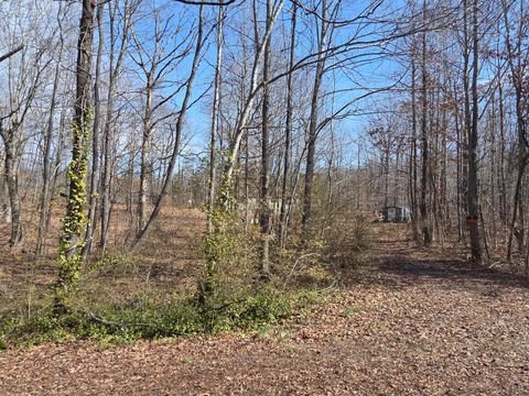 Tiny photo for 165 Hamlette Road, Brookneal, VA 24528 (MLS # 364789)