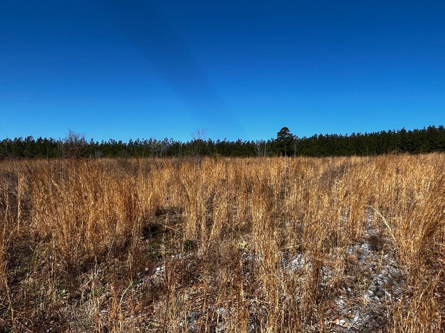 1151 Hubbard Road, Long Island, Virginia image 21