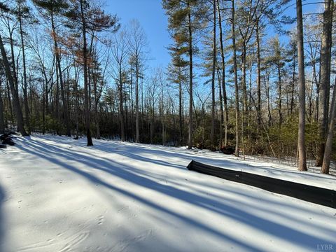 Tiny photo for 116 Blue Sky Court, Monroe, VA 24574 (MLS # 364403)