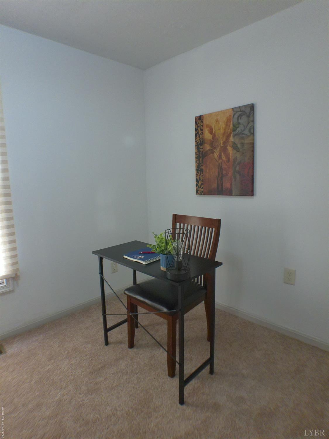 129 Dellwood Drive, Madison Heights, Virginia image 18