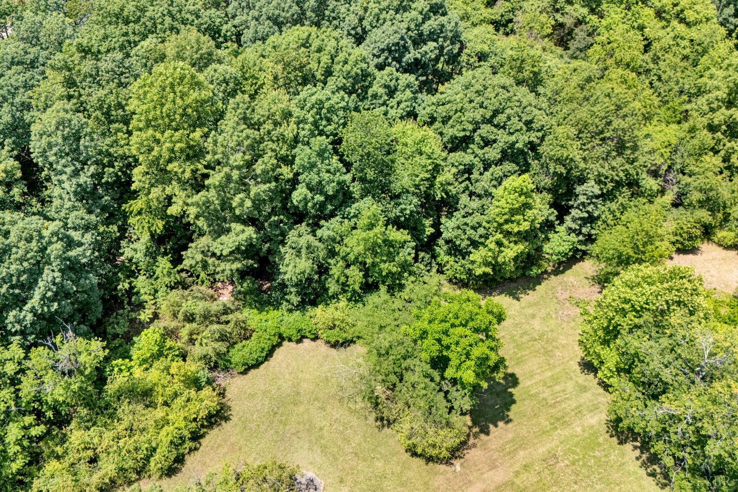Patterson Road, Rustburg, Virginia image 4