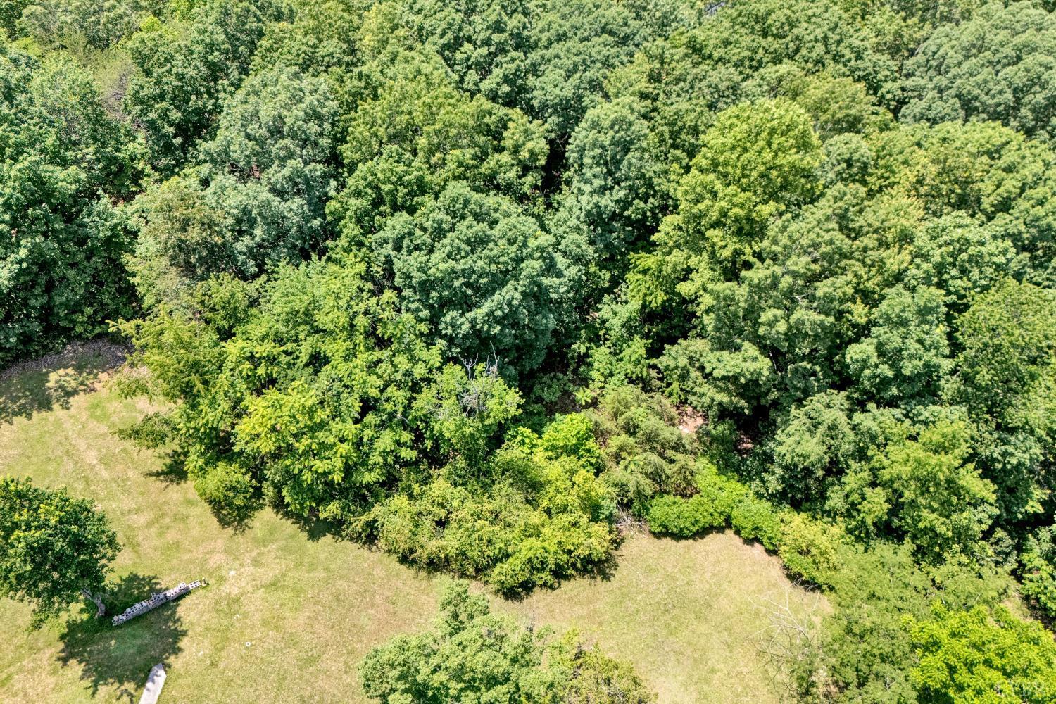 Patterson Road, Rustburg, Virginia image 1
