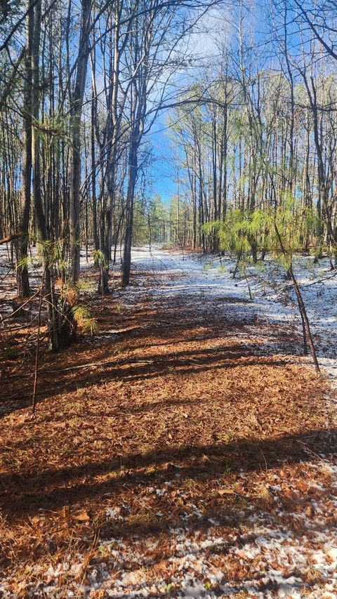 Tiny photo for 0 Old Courthouse Road, Appomattox, VA 24522 (MLS # 364959)