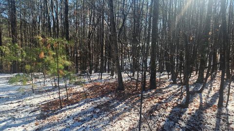 Tiny photo for 0 Old Courthouse Road, Appomattox, VA 24522 (MLS # 364959)