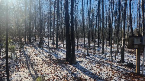 Tiny photo for 0 Old Courthouse Road, Appomattox, VA 24522 (MLS # 364959)