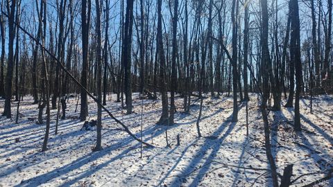 Tiny photo for 0 Old Courthouse Road, Appomattox, VA 24522 (MLS # 364959)