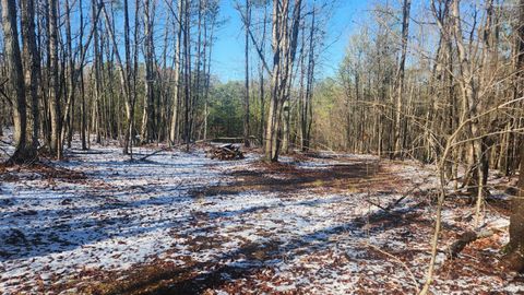 Tiny photo for 0 Old Courthouse Road, Appomattox, VA 24522 (MLS # 364959)