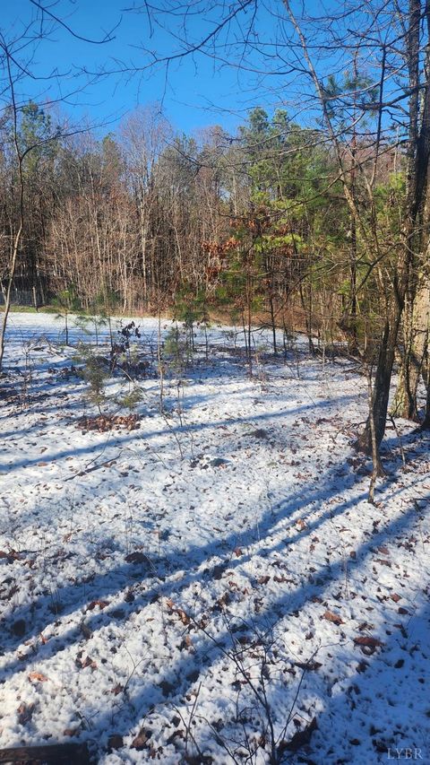 Tiny photo for 0 Old Courthouse Road, Appomattox, VA 24522 (MLS # 364959)