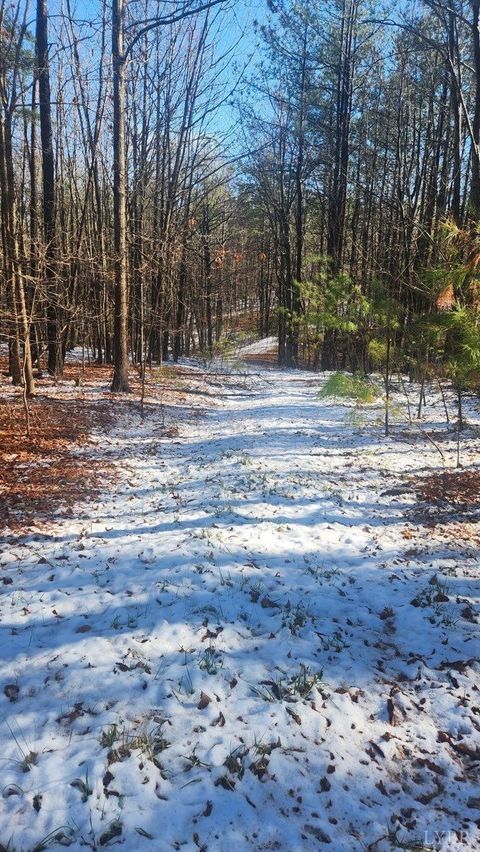 Tiny photo for 0 Old Courthouse Road, Appomattox, VA 24522 (MLS # 364959)
