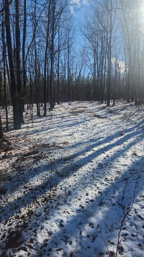 Tiny photo for 0 Old Courthouse Road, Appomattox, VA 24522 (MLS # 364959)